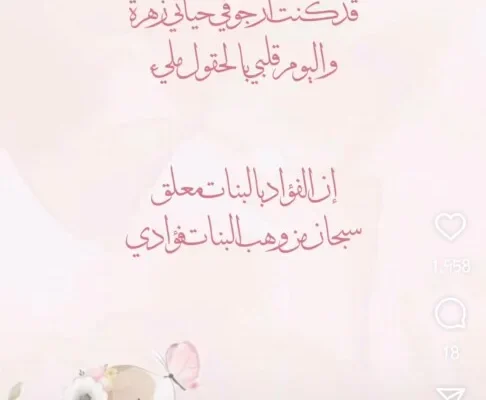 Bdndb