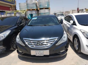سوناتا ٢٠١٣