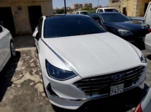 سوناتا 2020
